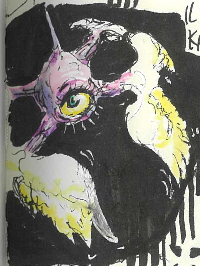 imoge